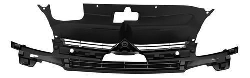 Grade Radiador Citroen C4 Pallas 2006 Á 2012 Novo