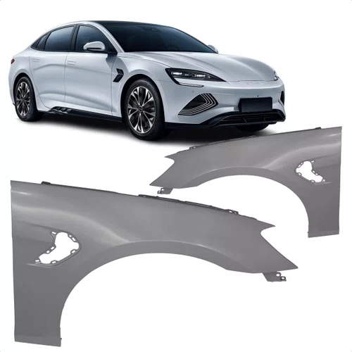 Paralama Byd Seal 2024 2025 Lado Direito Passageiro