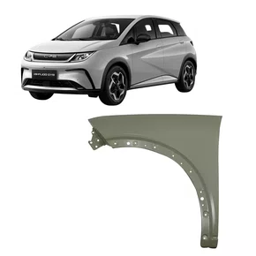 Paralama Byd Dolphin 2023 2024 2025 2026 Esquerdo Novo