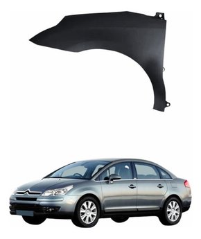 Paralama Citroen C4 Pallas 2006 Até 2012 Lado Esquerdo Original Usado