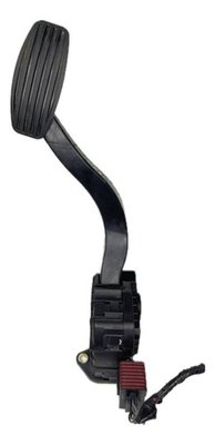 Pedal Acelerador Fiat Palio 2012 2013 2014 696200a 696222g Original Usado