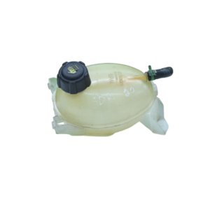 Reservatório Água Radiador Sandero 2015 a 2022 217106499R Original Usado