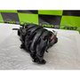 Coletor De Admissão Renegade 1.8 2016 A 2021 Flex 55273253 Original Usado