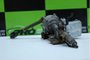 Coluna De Direção Elétrica Ford Ká 2014 Á 2019 54087002e Original Usado