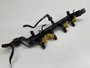 Flauta Com Bico Injetor Fiat Argo Cronos 1.3 2020 A 2023 Original Usado