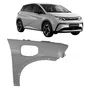 Paralama Byd Dolphin 2023 2024 2025 2026 Lado Direito Novo