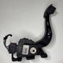 Pedal Acelerador Fiat Palio 2012 2013 2014 696200a 696222g Original Usado